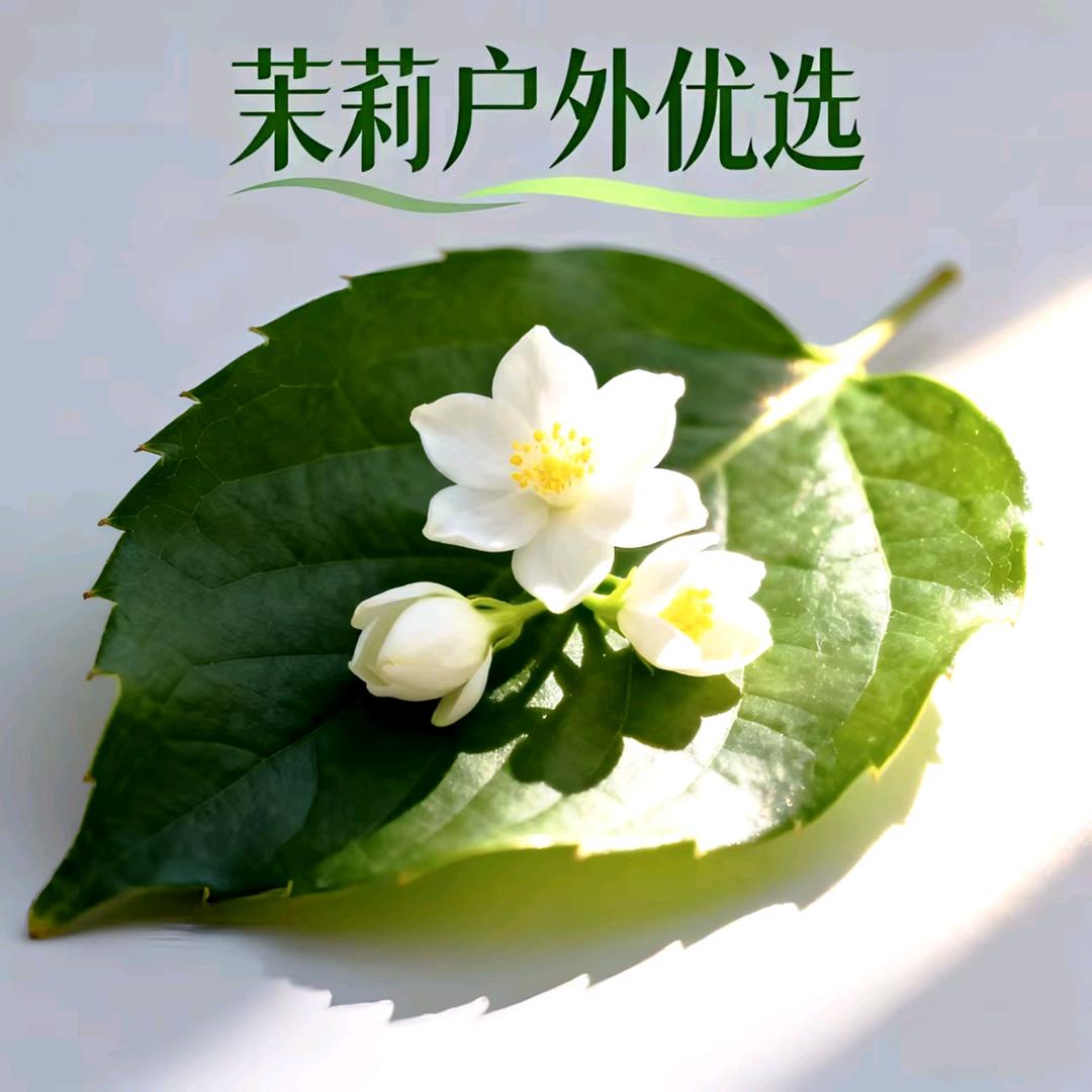 茉莉户外优选商行