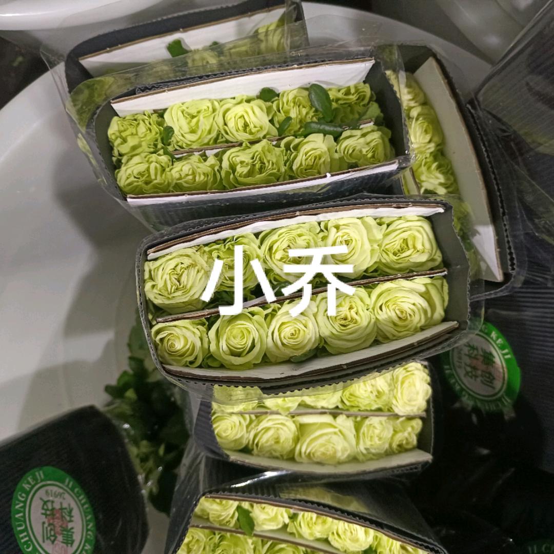 鲜花批发全国各地