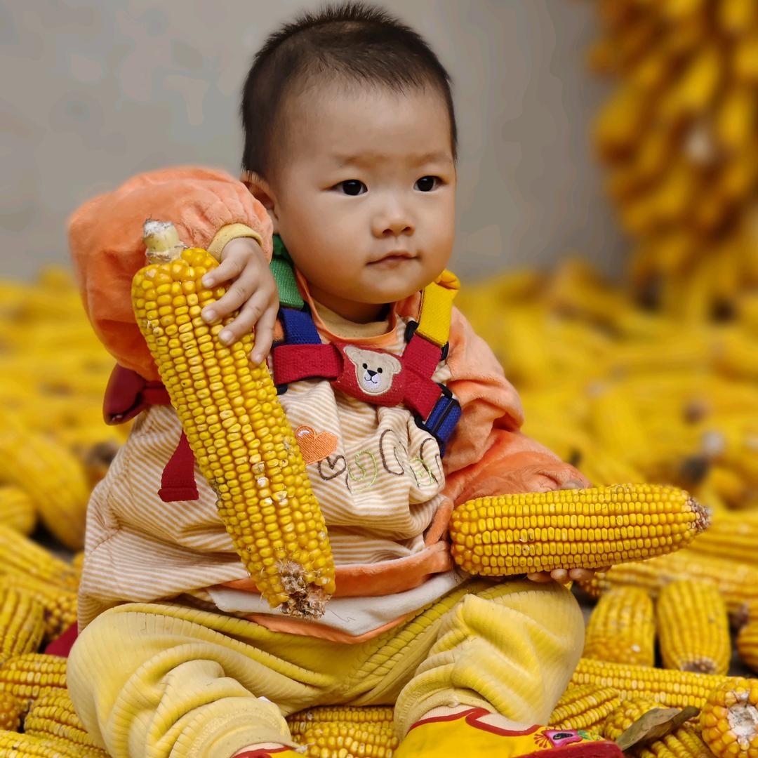 梁只脑虎