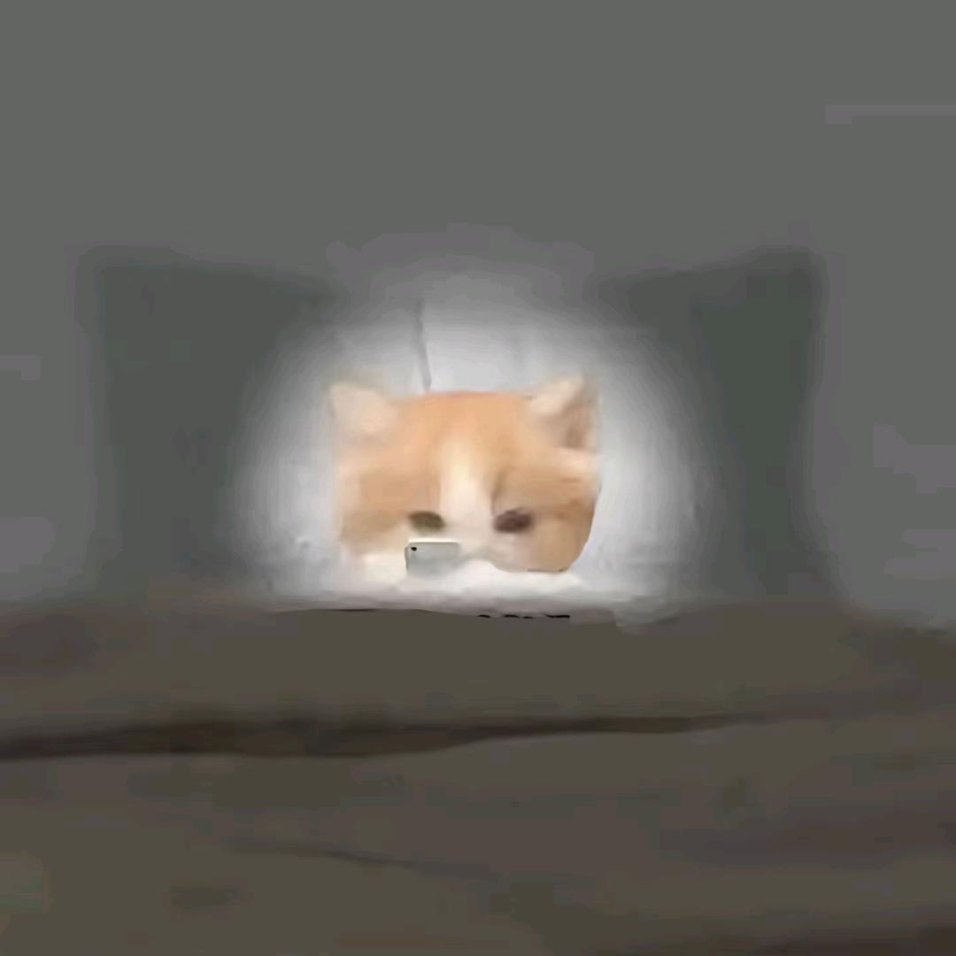 绿茵