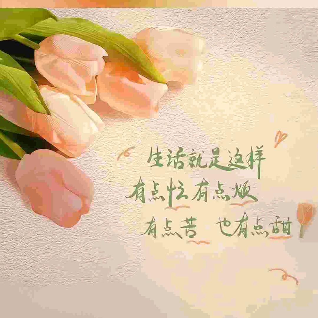 冰雨