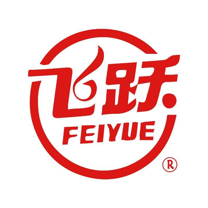 飞跃鞋服旗舰店