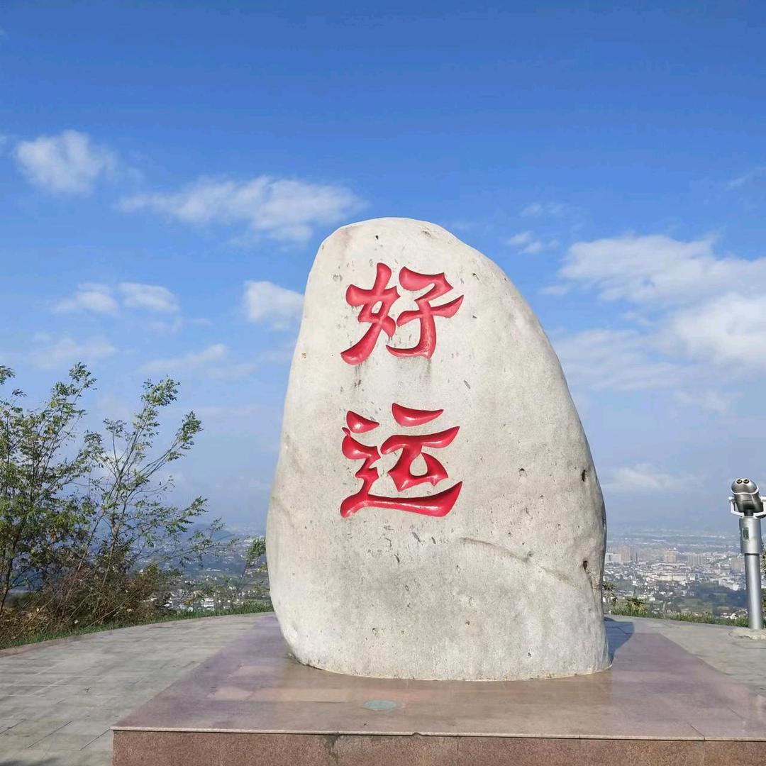 与君同行