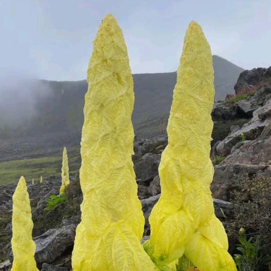 荧光点点