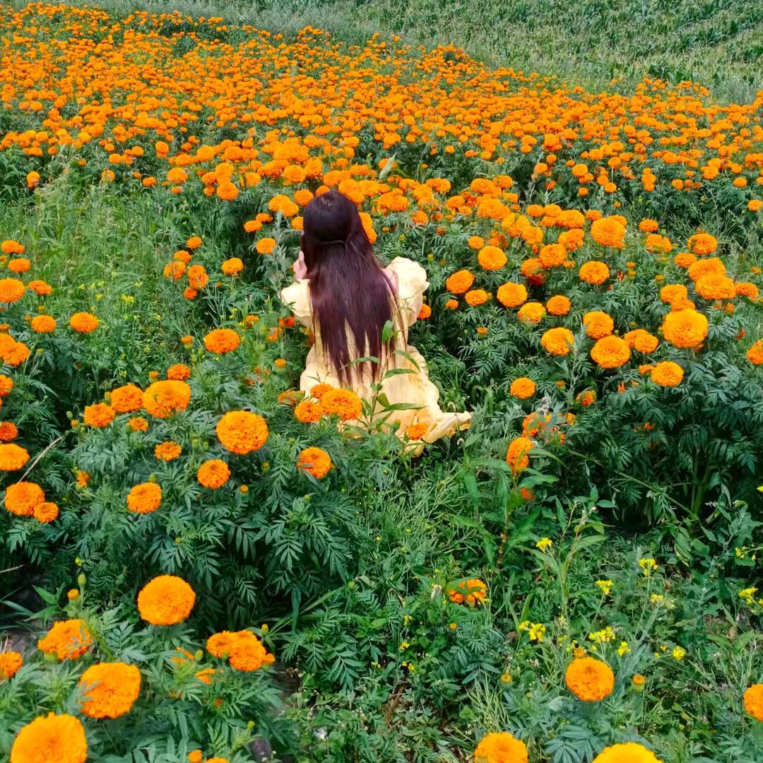 ල᭄看透🦋一切꧔ꦿ᭄