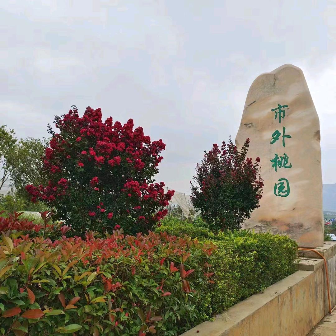 霖森农业小张