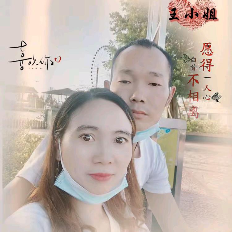 专业承接內外墻抹灰石膏