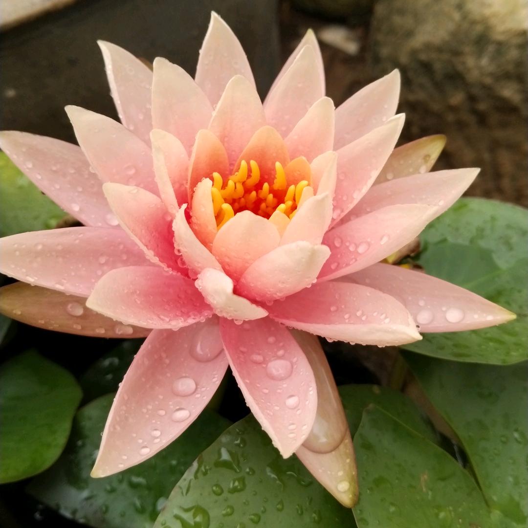 我的时光