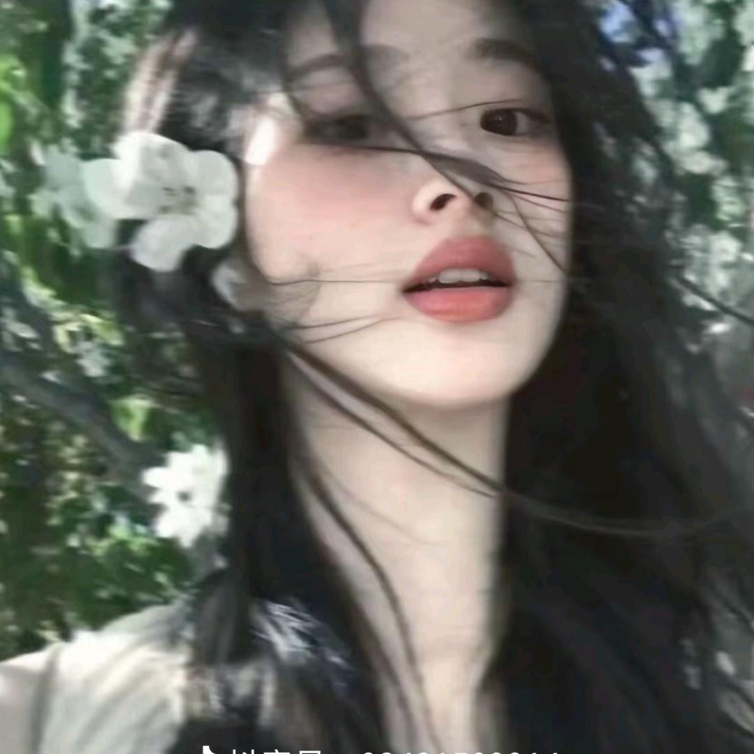 一只绵烊