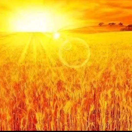 蘇匠精工大板岩板铺贴团队