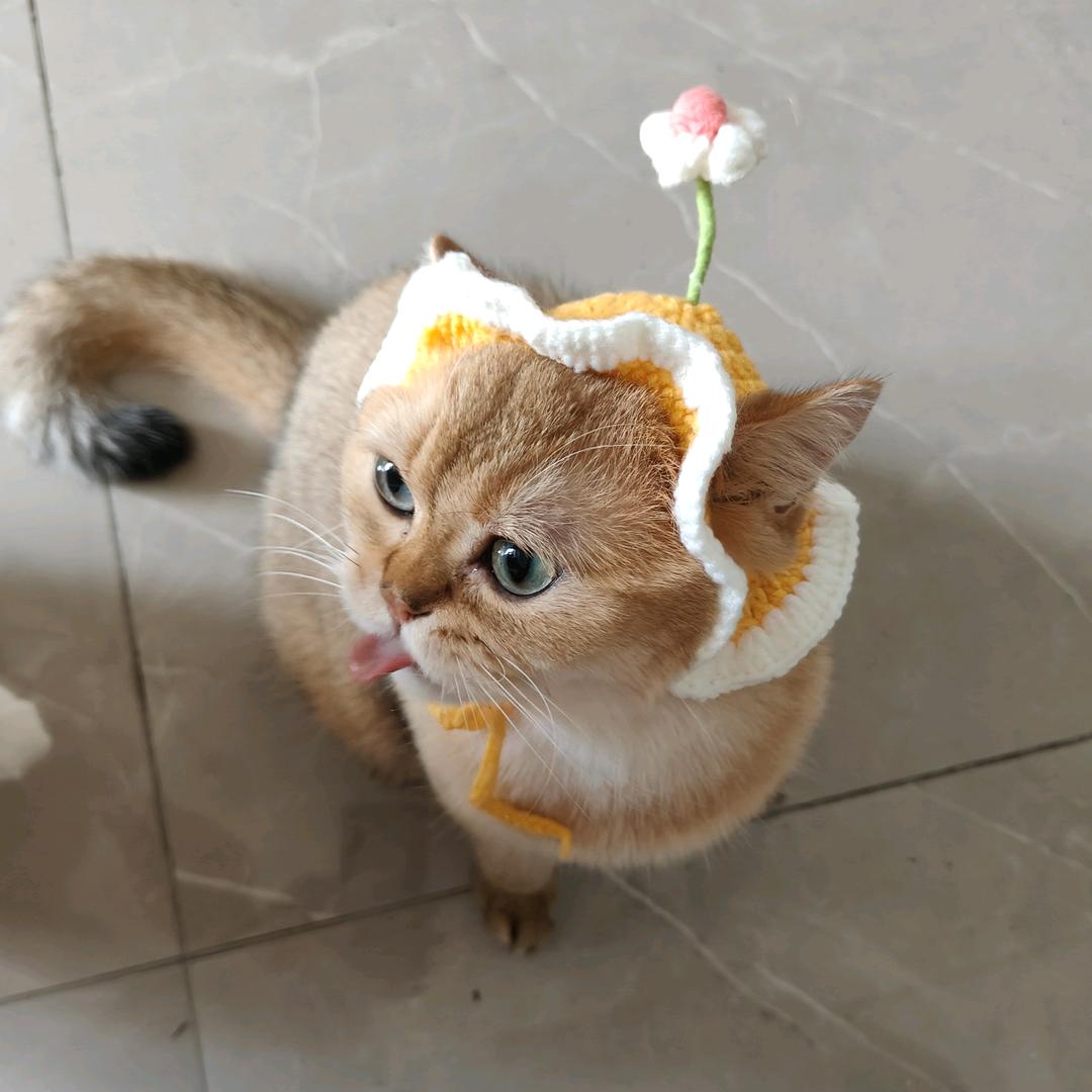 王无鱼和赵夭夭