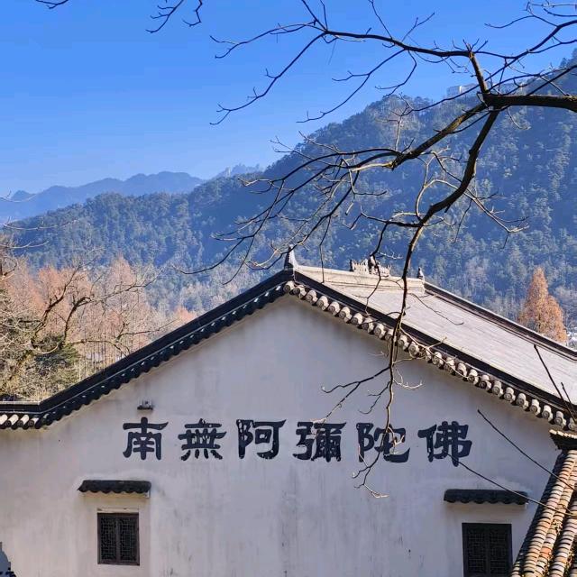 沐观