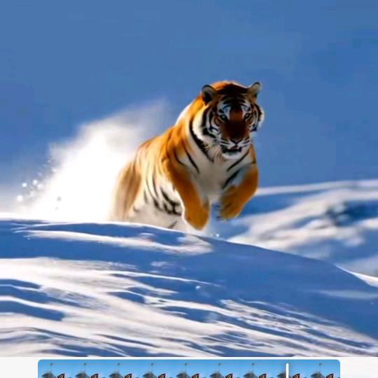 龙虎天师直播间好多人啊要上热门了。