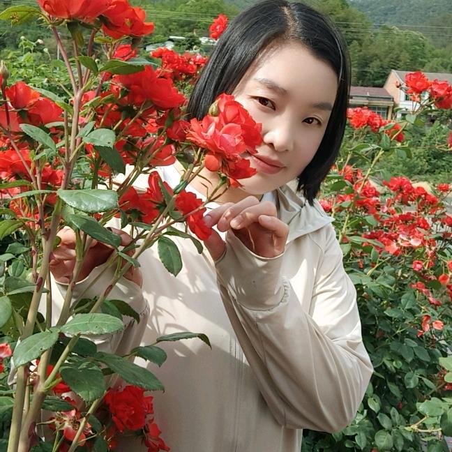豆豆🌻
