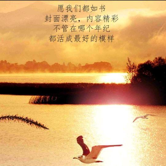 致科注塑机配件