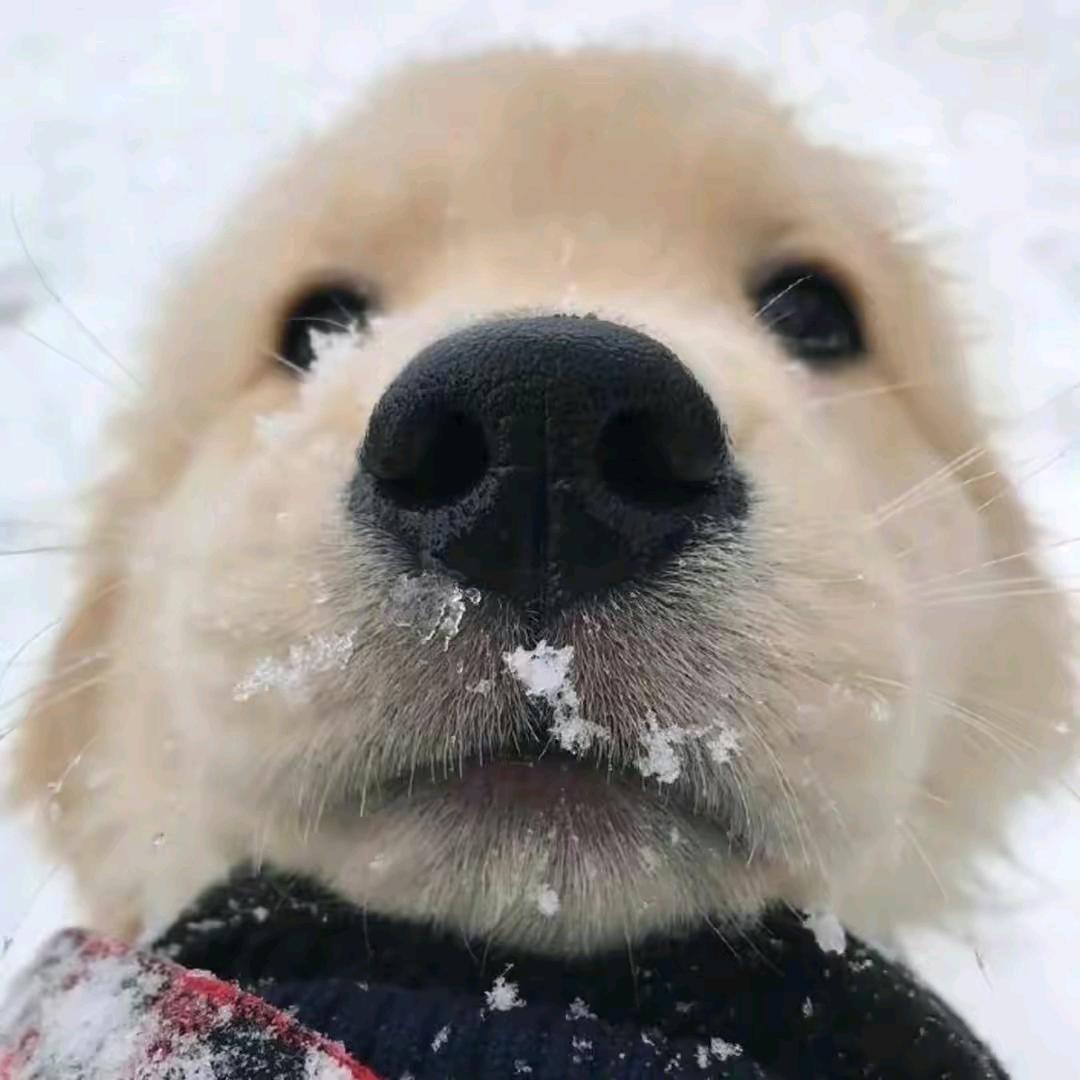 请叫我＂德融＂