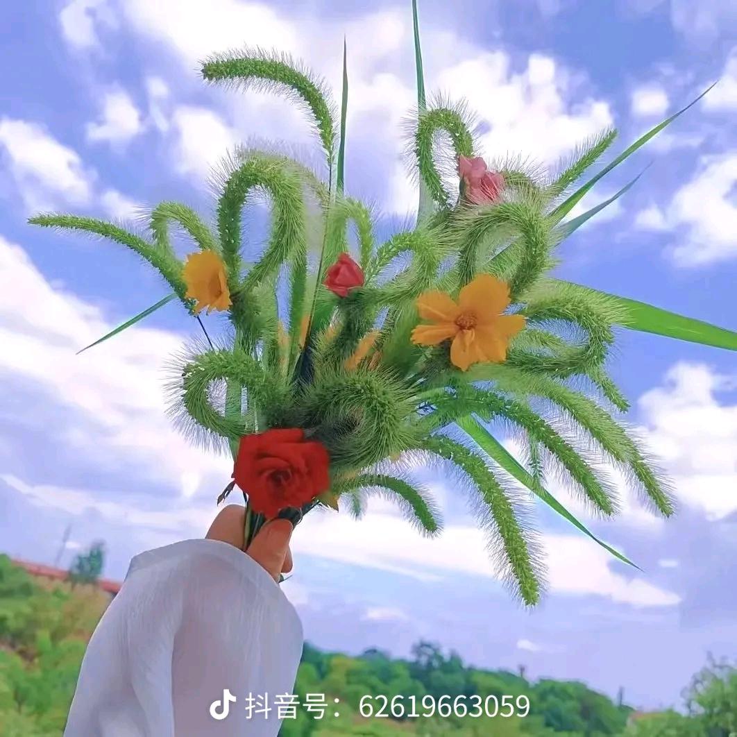 竹风雅梦