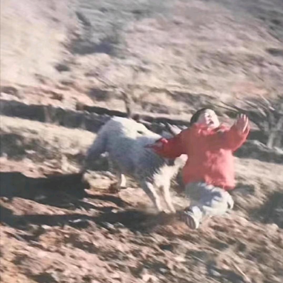 姜姜是个小叮当’