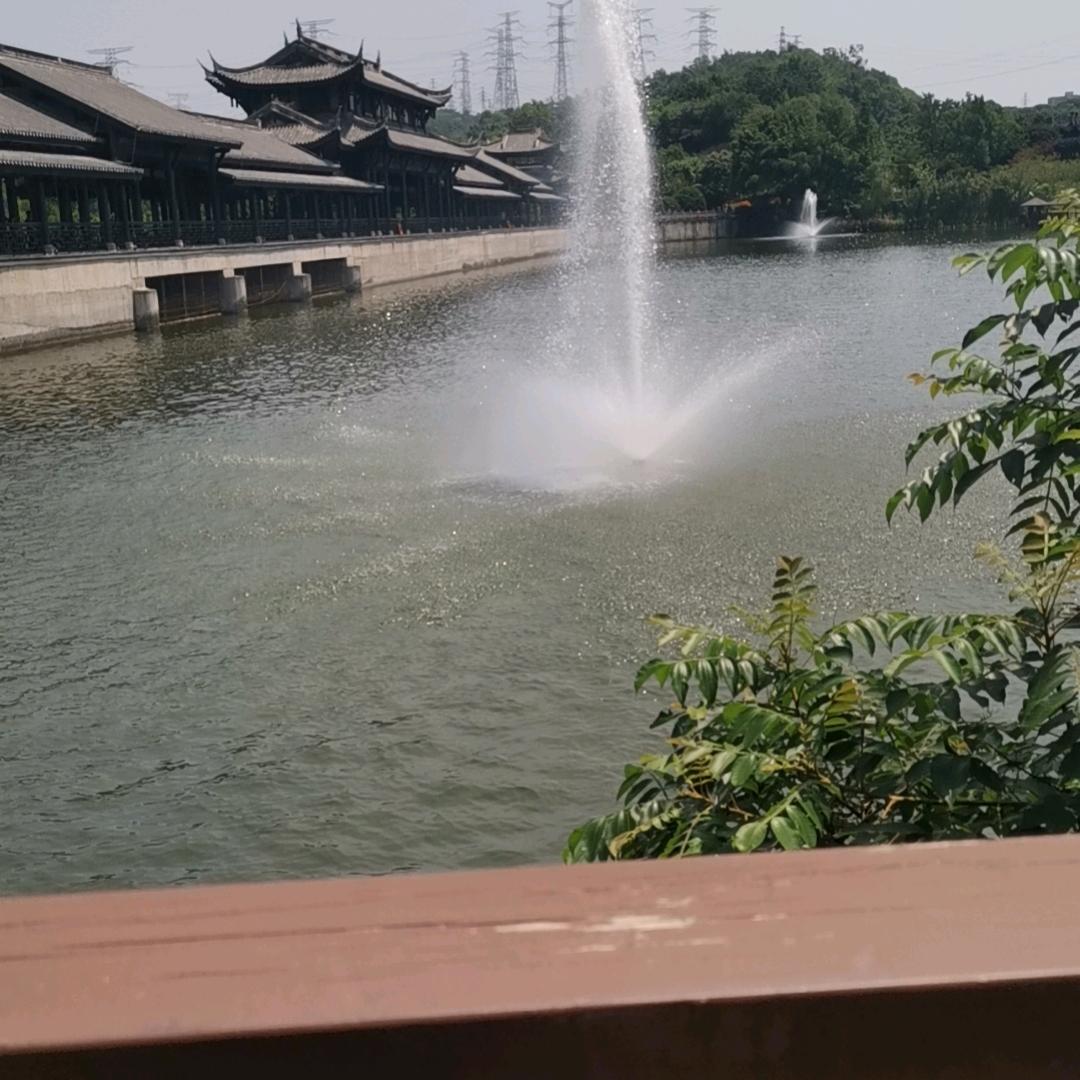 心愿