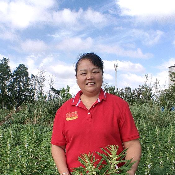 六姐，9点10首播