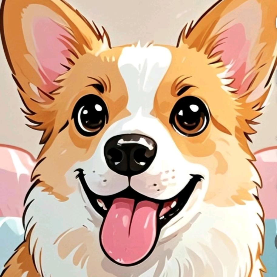 柯基宝宝