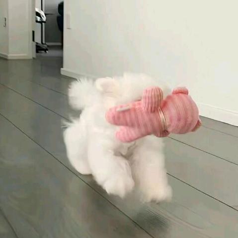 清蒸