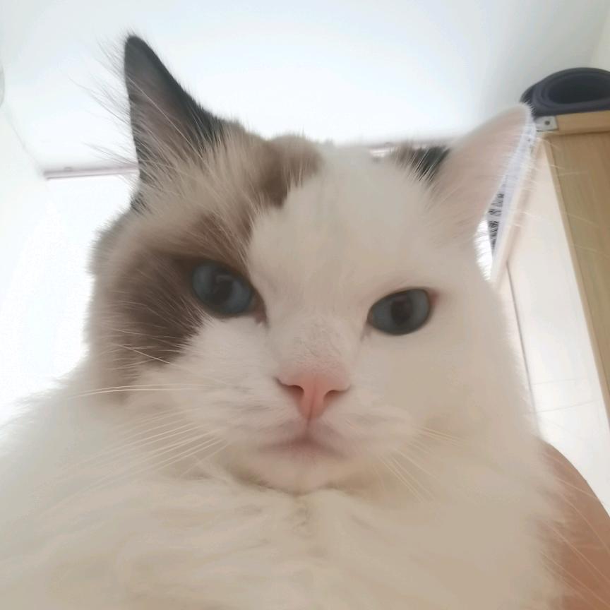 🐟天气¹¹♡预报🍁¹⁰³