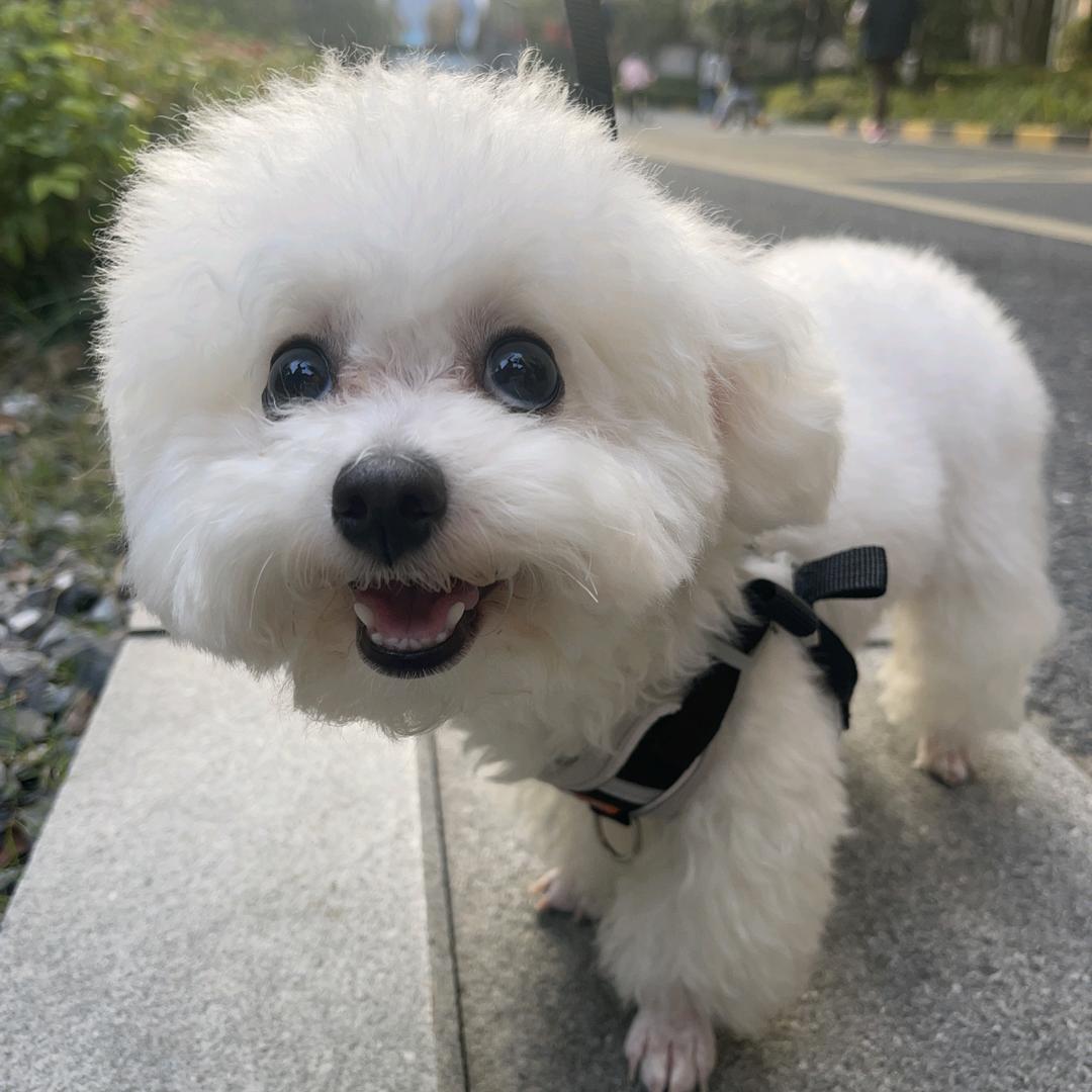 （足疗纳入医保）