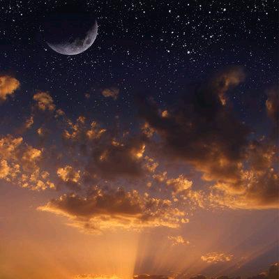 金錢稱上，稱不出半兩真心