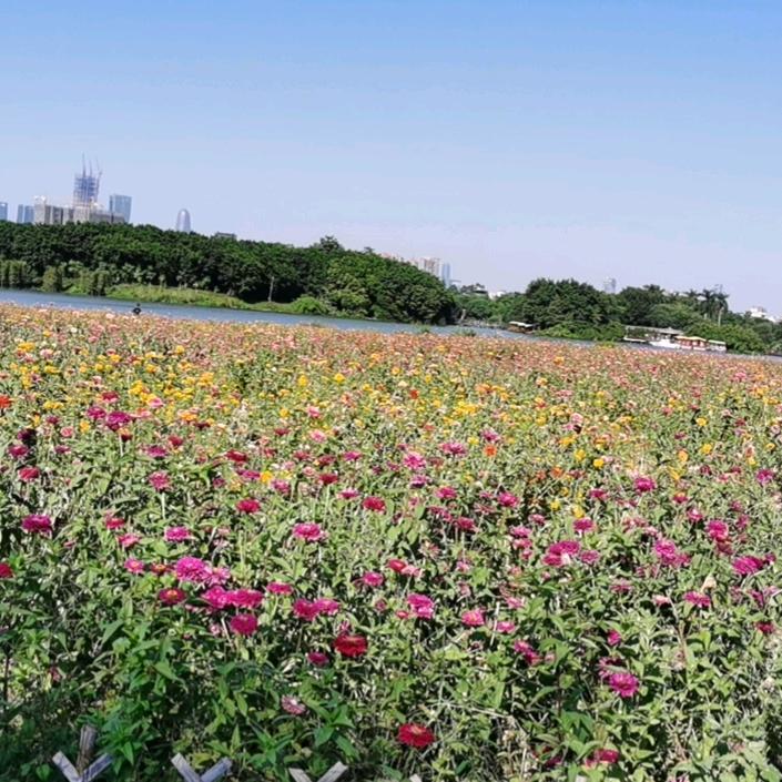 宇李同行
