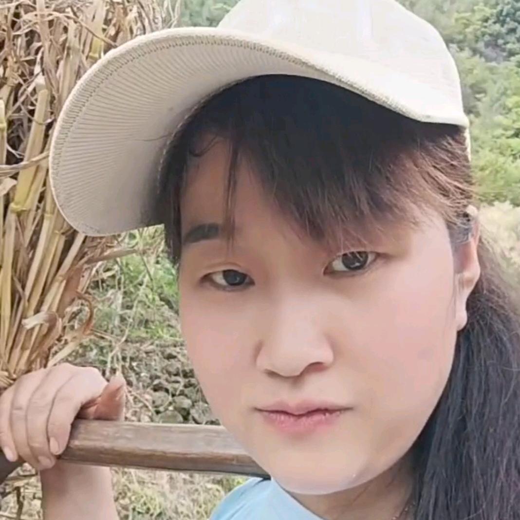 张小会l