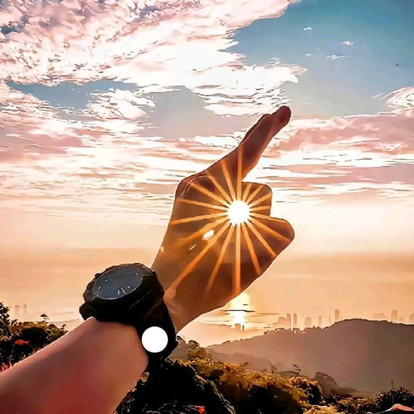 司养星河
