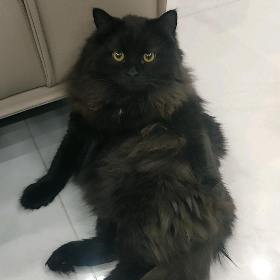 猕hotel