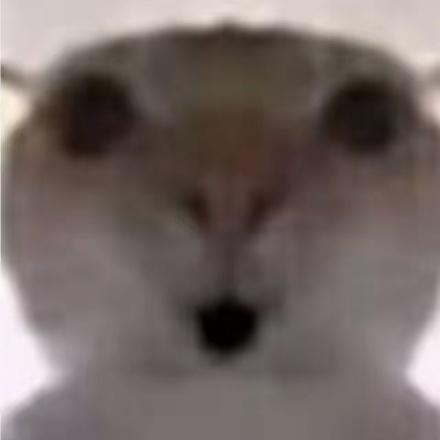 鼠鼠爱舔包