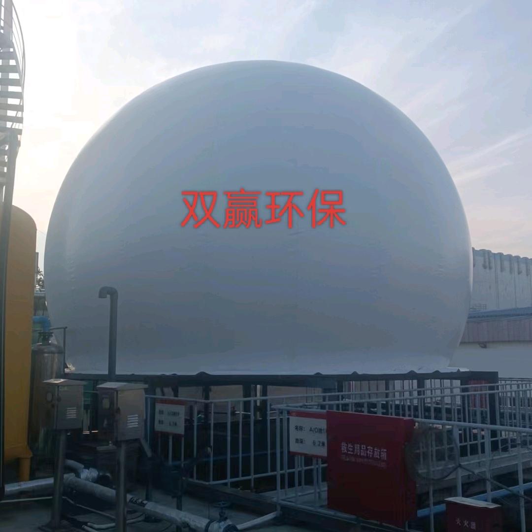 沼气收集利用净化沼气储气柜-双赢