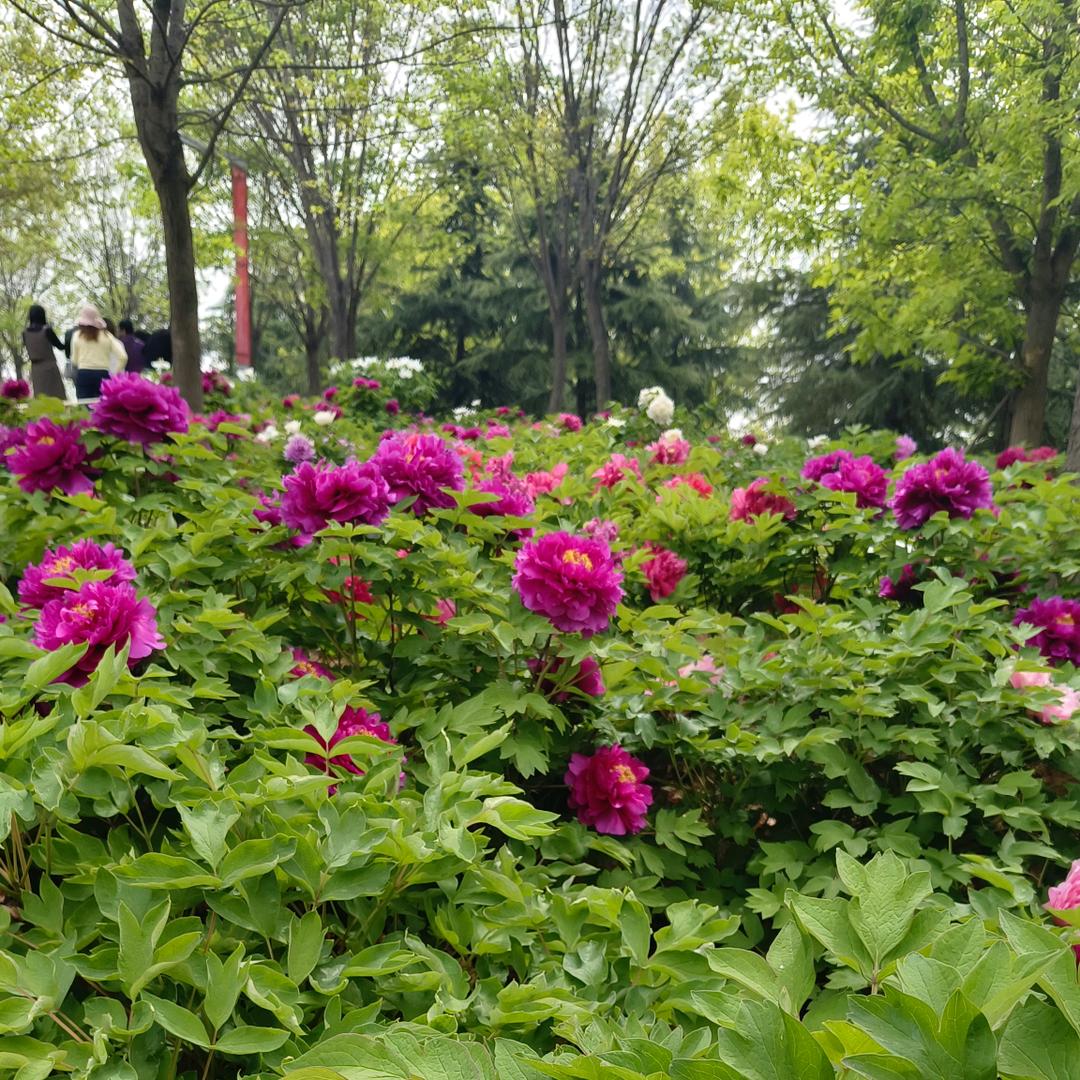 用户689464
