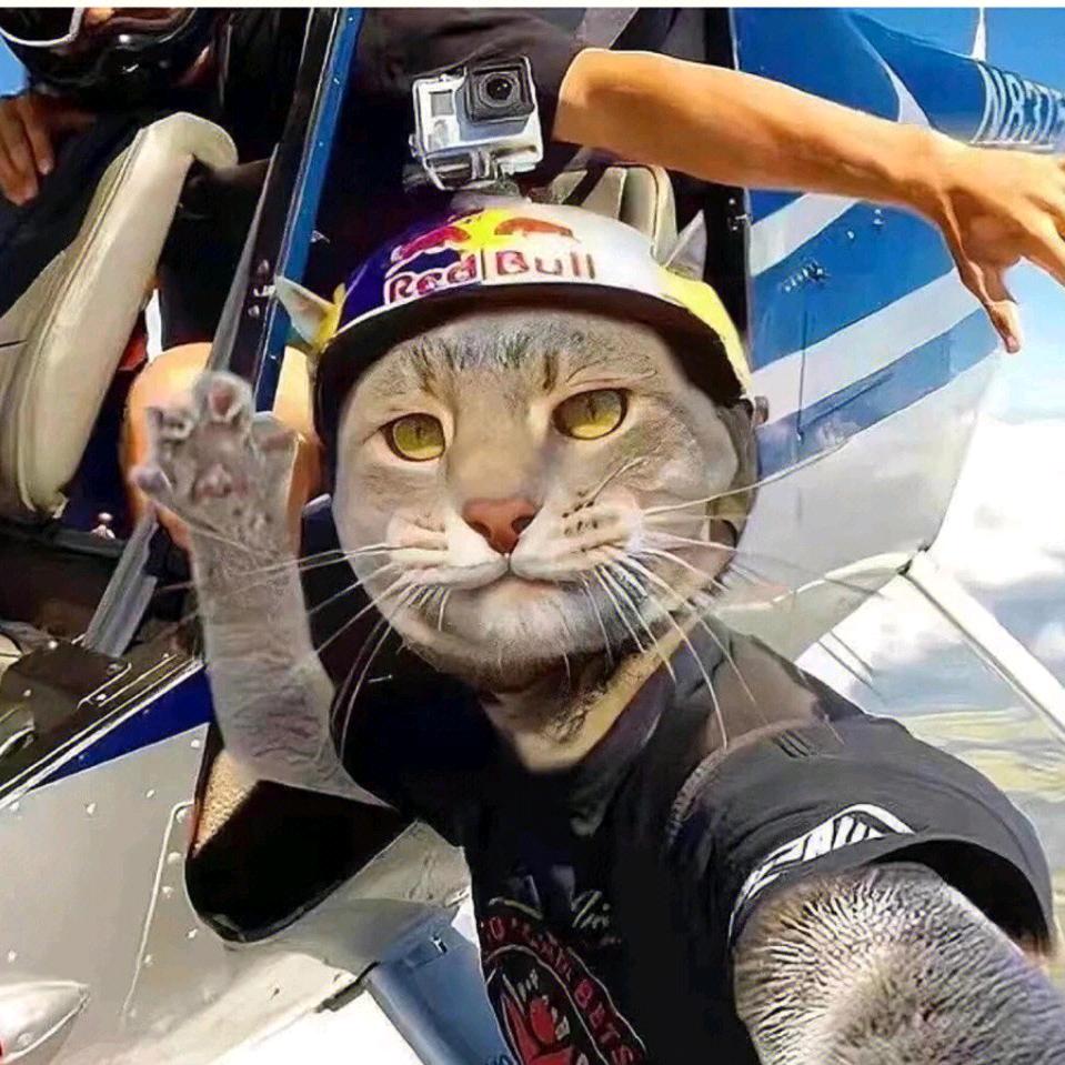 嘿嘿嘿！😂