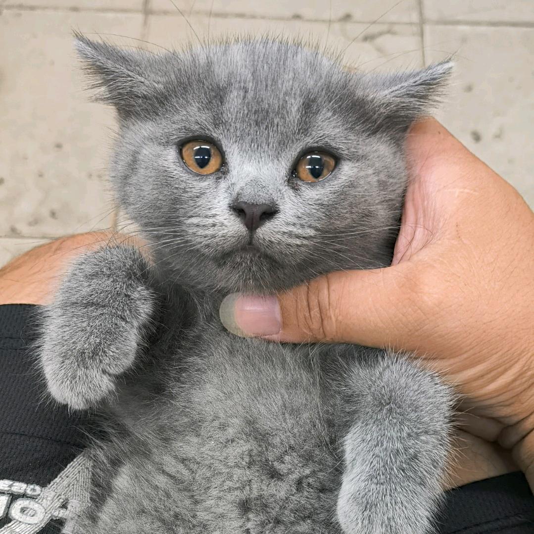 ♥♥♥♥♥