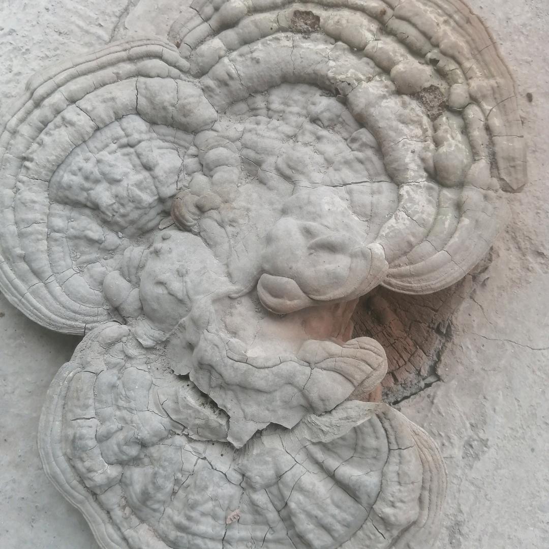 岁月静好⊙ω⊙