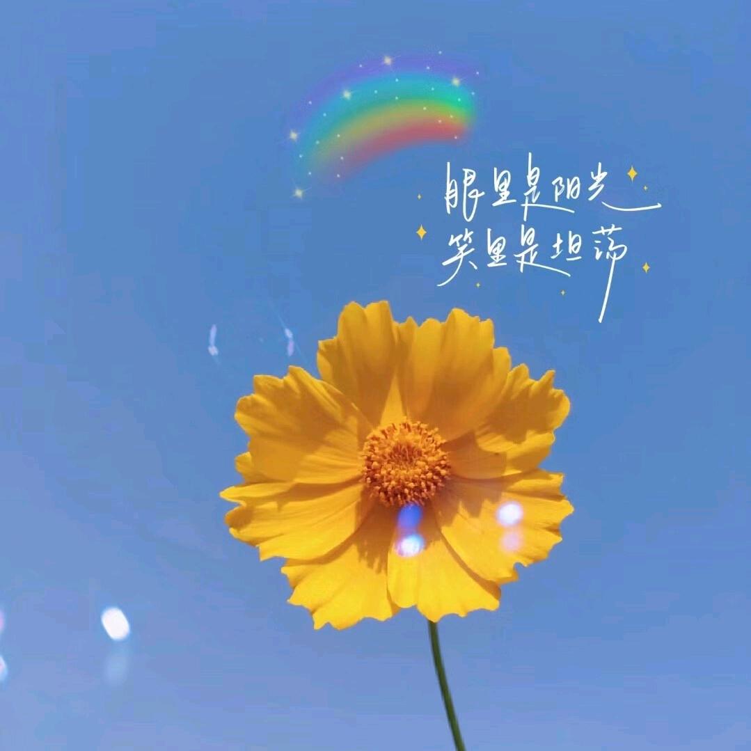 一切随缘