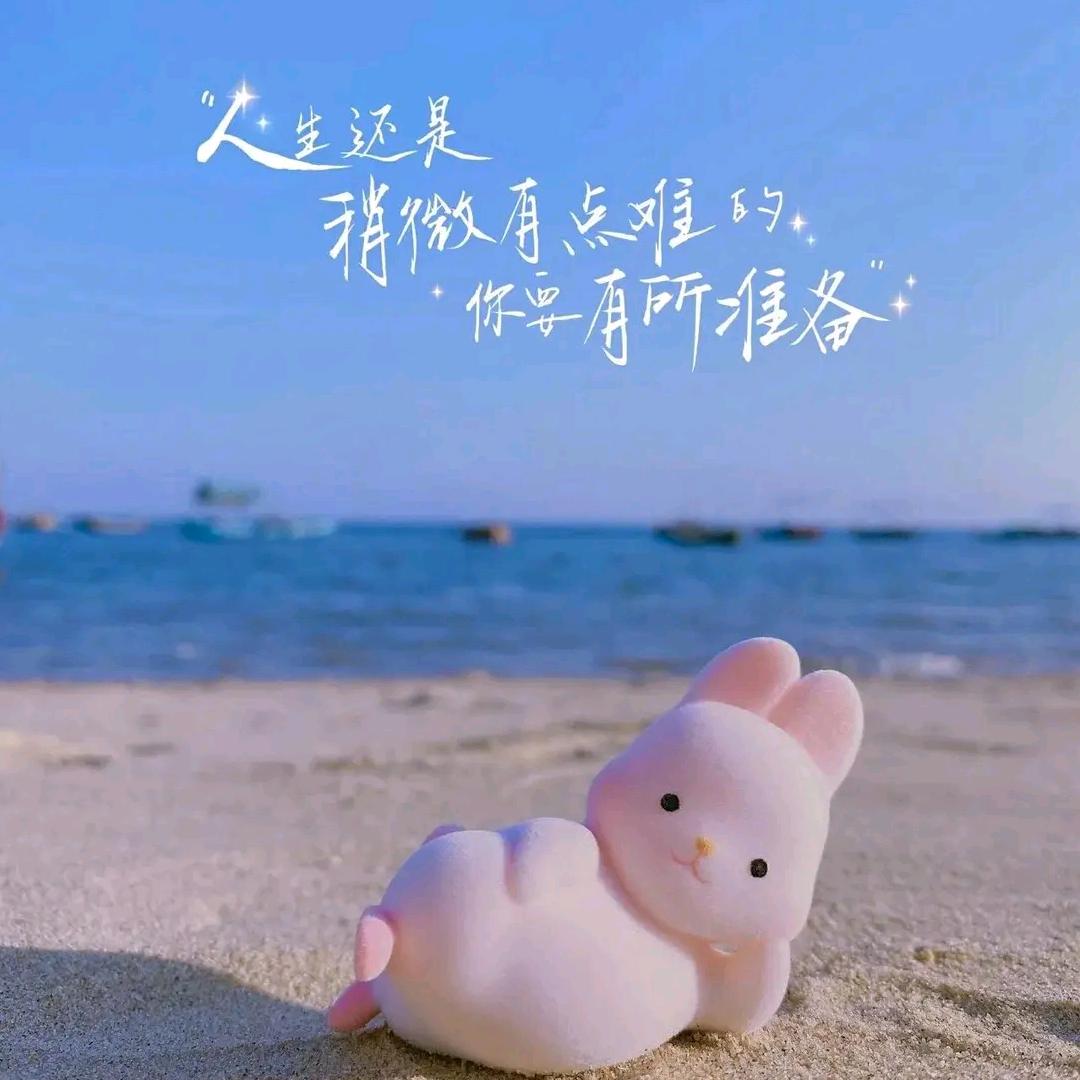 颜值巅峰