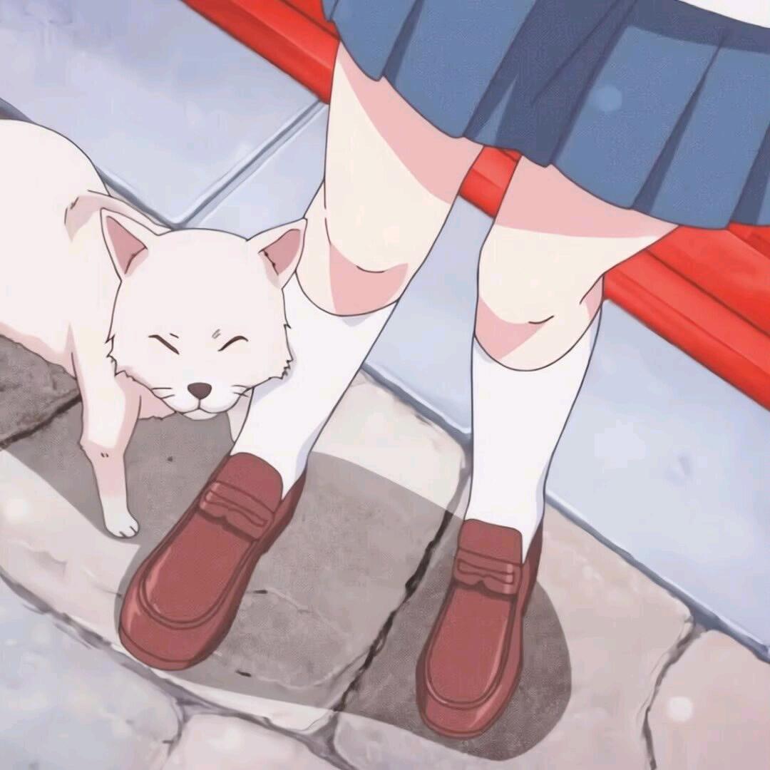 你也喜欢吃冬瓜吗