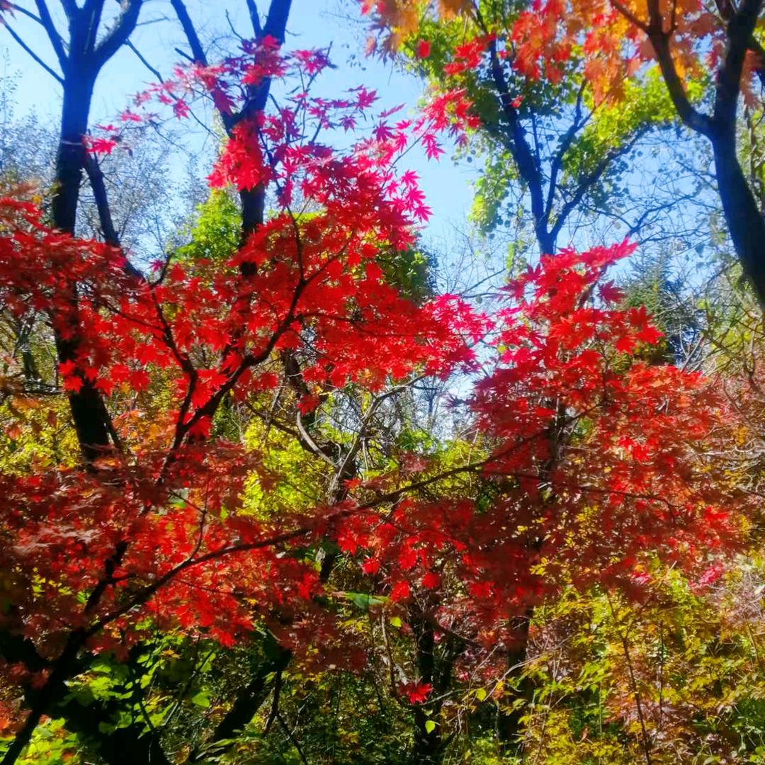 丽姐爱生活头像
