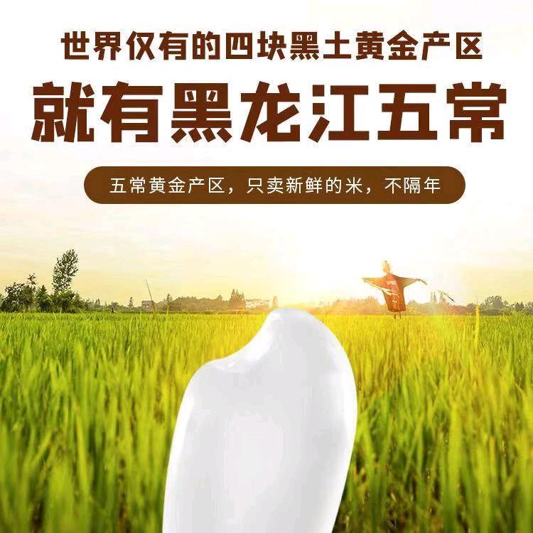 小蒙五常大米