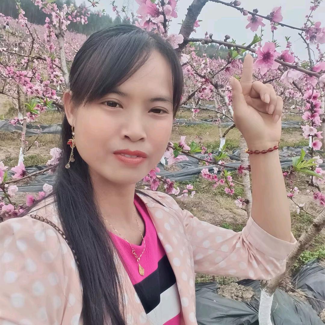 @花好月圆