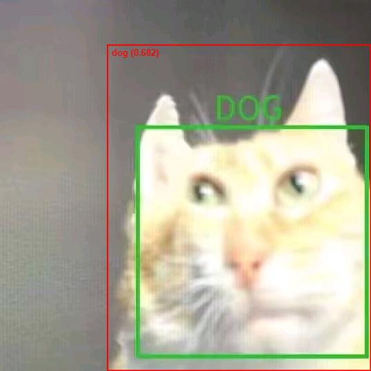 cat猫头