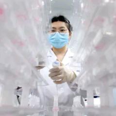 龙江龙