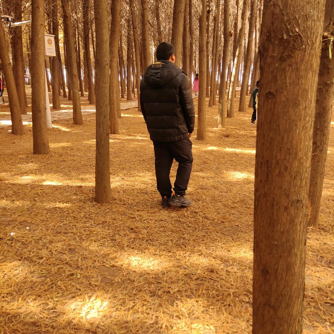 终究是李