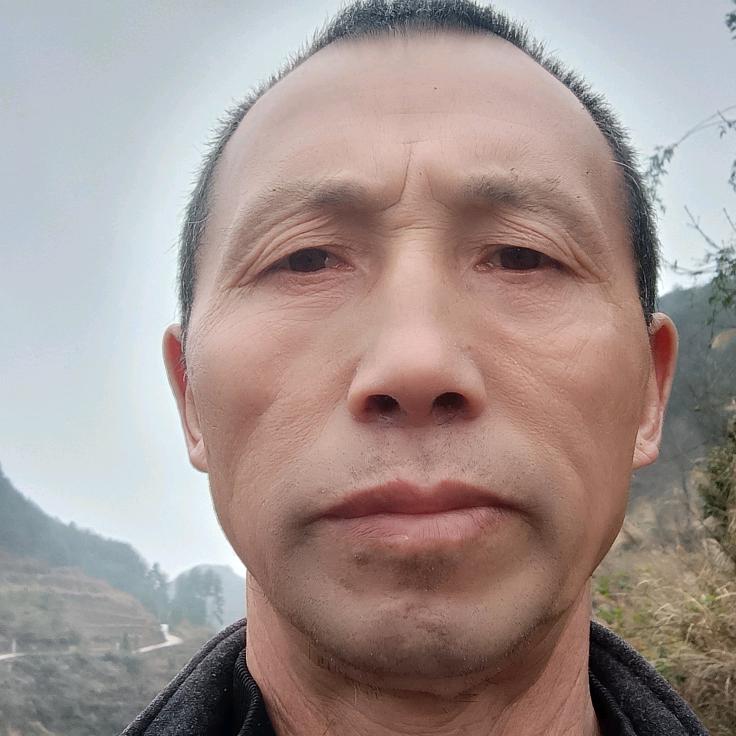 刘体发