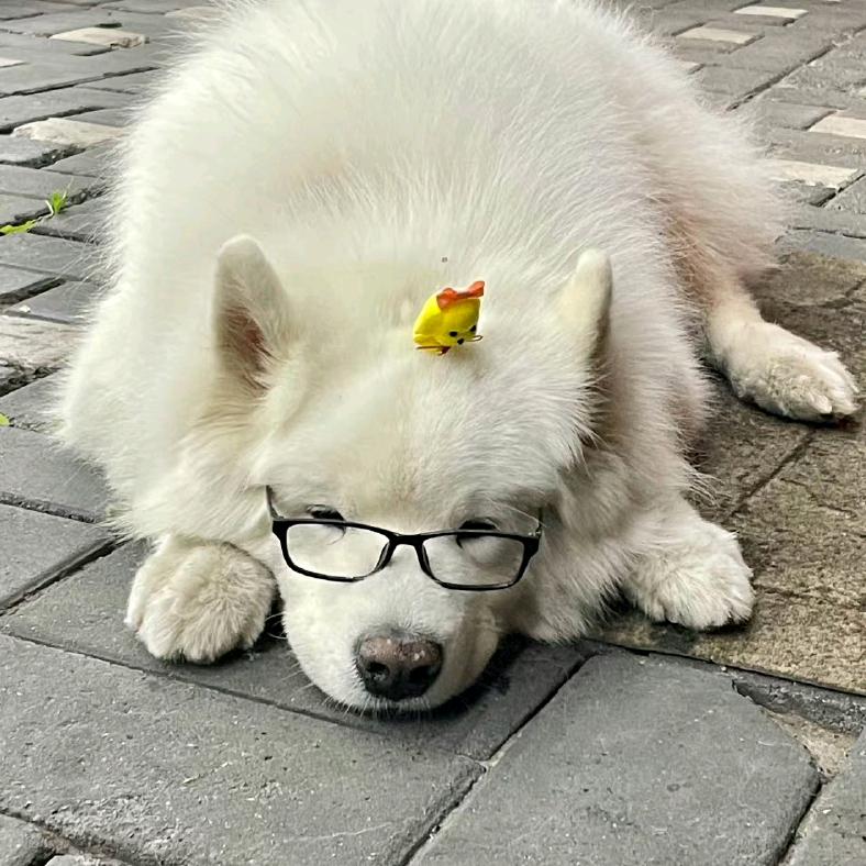 ZeRo